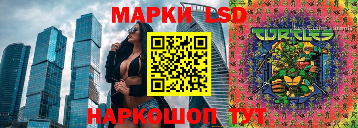 дарнет шоп  Марки NBOMe  Марки NBOMe 1,8мг  Вход с VPN  Марки NBOMe 1,8мг  Берёзовский 