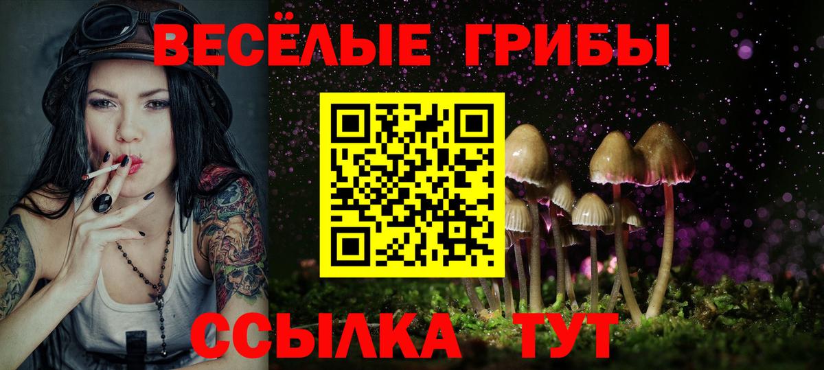 Галлюциногенные грибы Psilocybine cubensis  Вход с VPN  Галлюциногенные грибы мухоморы  Берёзовский 